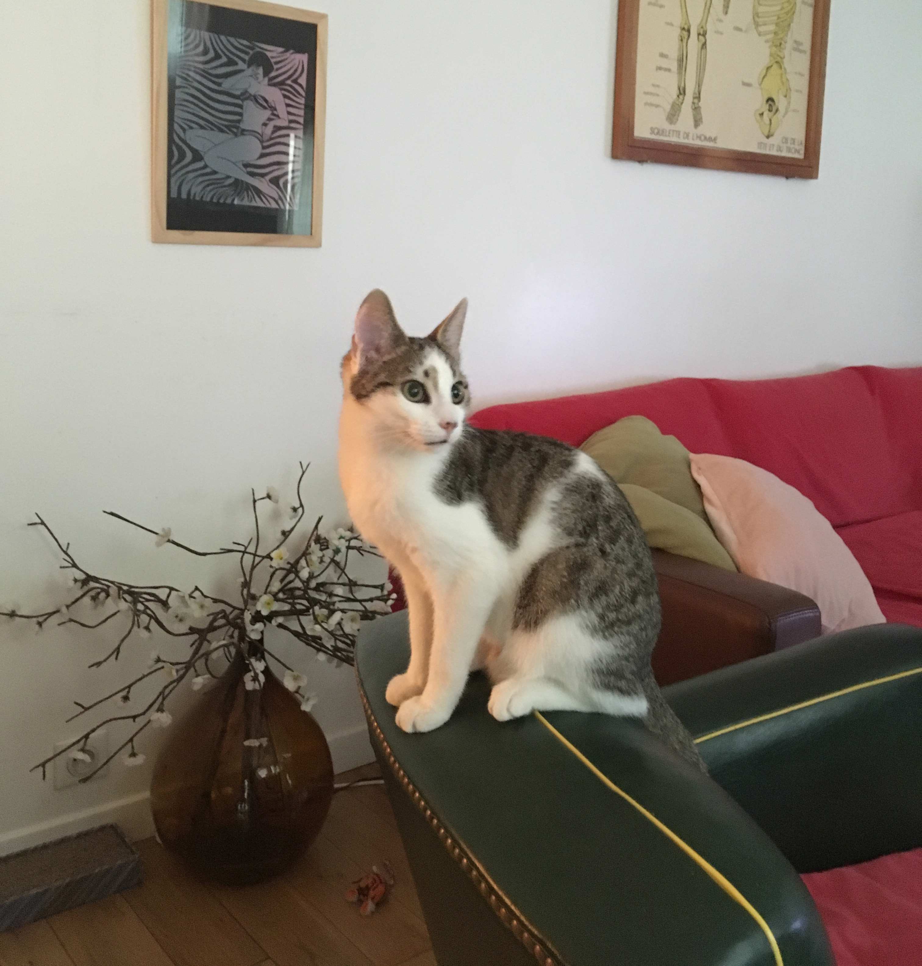 Delphine, membre Guardiens à Paris