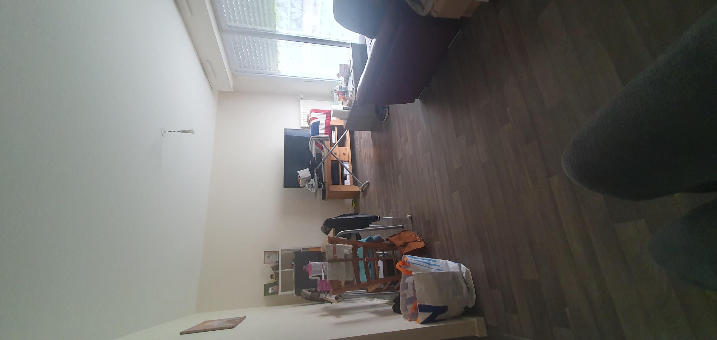 Garde de deux chats à Noyal-Pontivy (56) - mai/juin pour mon hospitalisation 