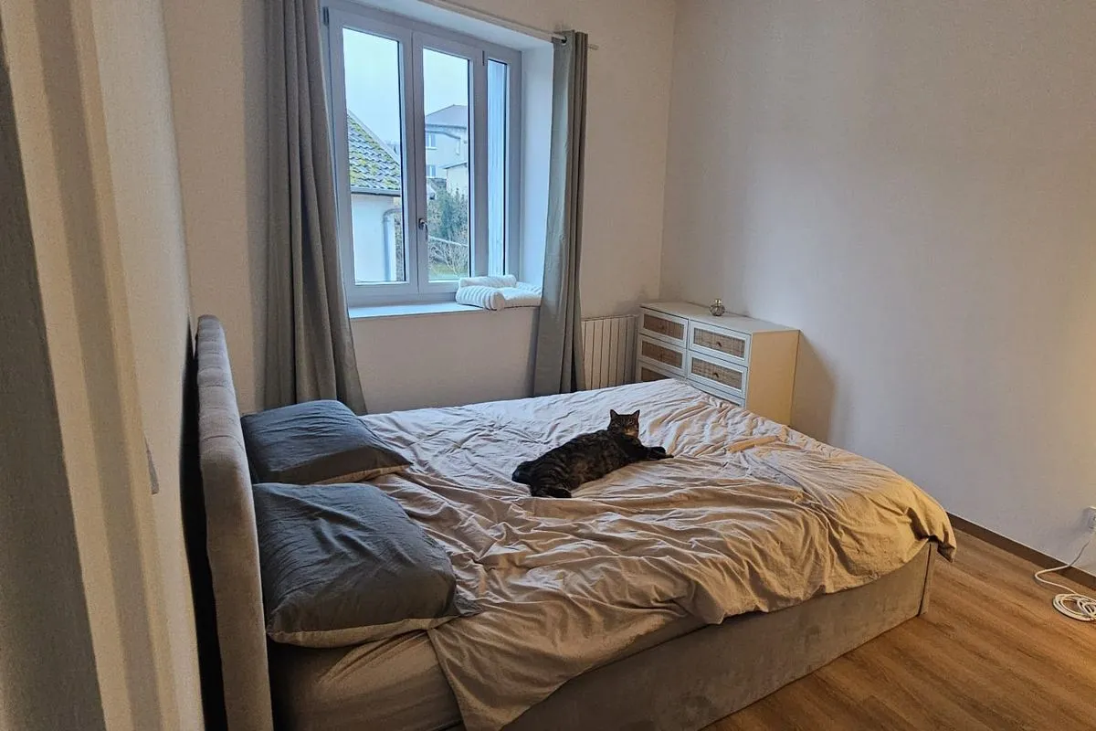 Photo du logement
