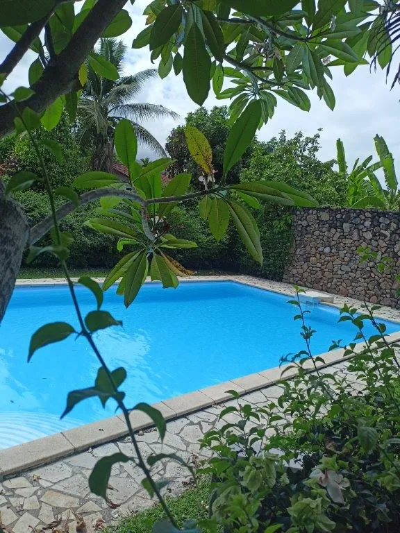 Garde de 2 chats - en appartement avec piscine - proche du lagon