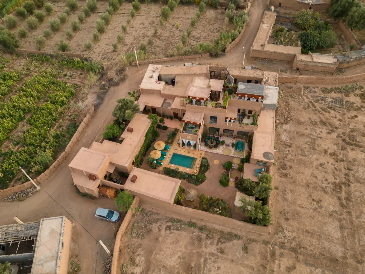 Garde de 5 chiens adorables dans une maison à Marrakech