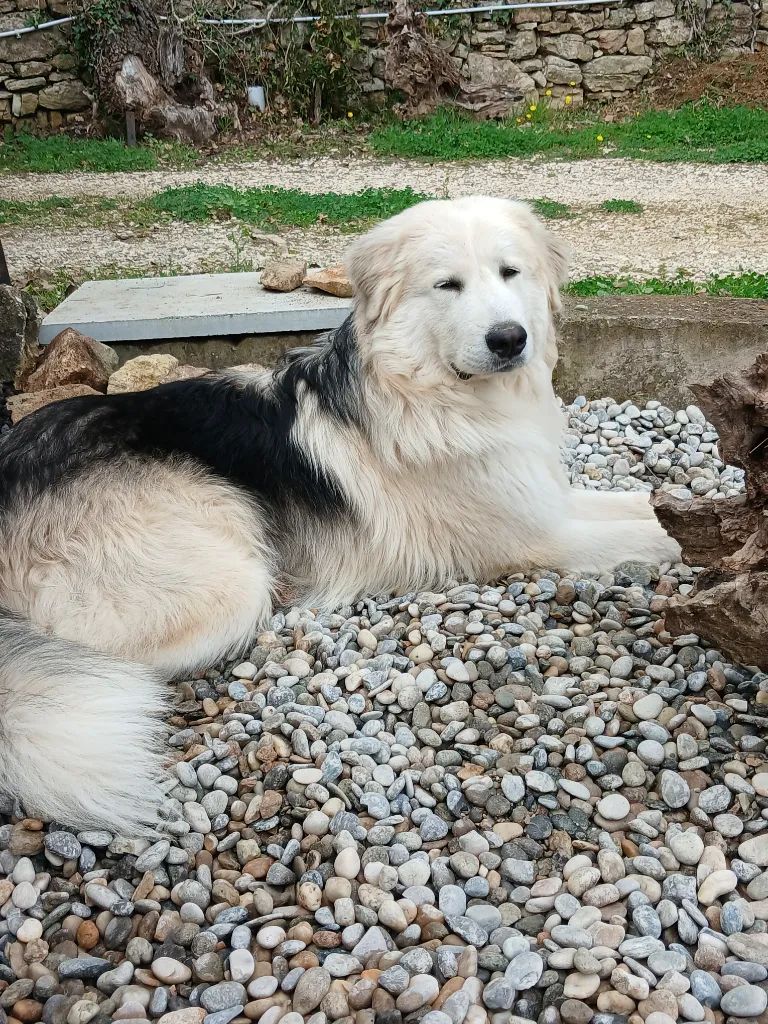 Françoise