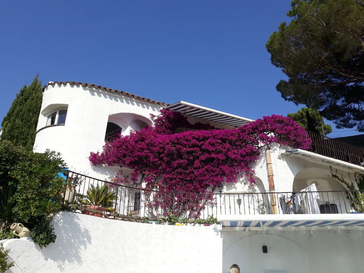 Photo du logement