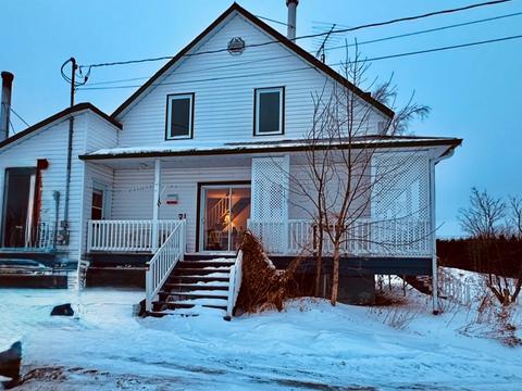 Un Noël magique au cœur du magnifique Québec, entouré de nature et de chats 🐾❄️
