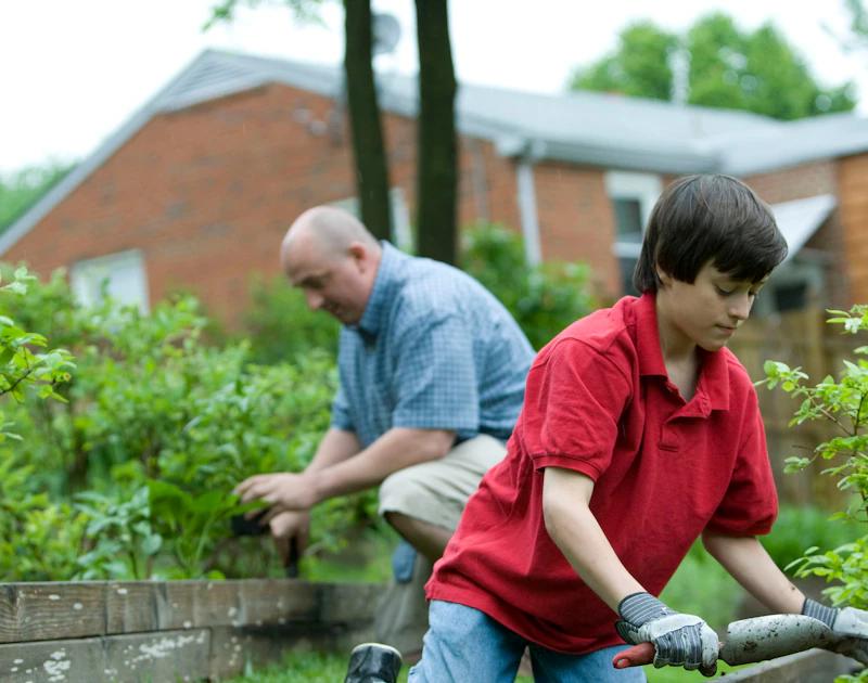 Un homme âgé et un jeune jardinent ensemble dans un potager