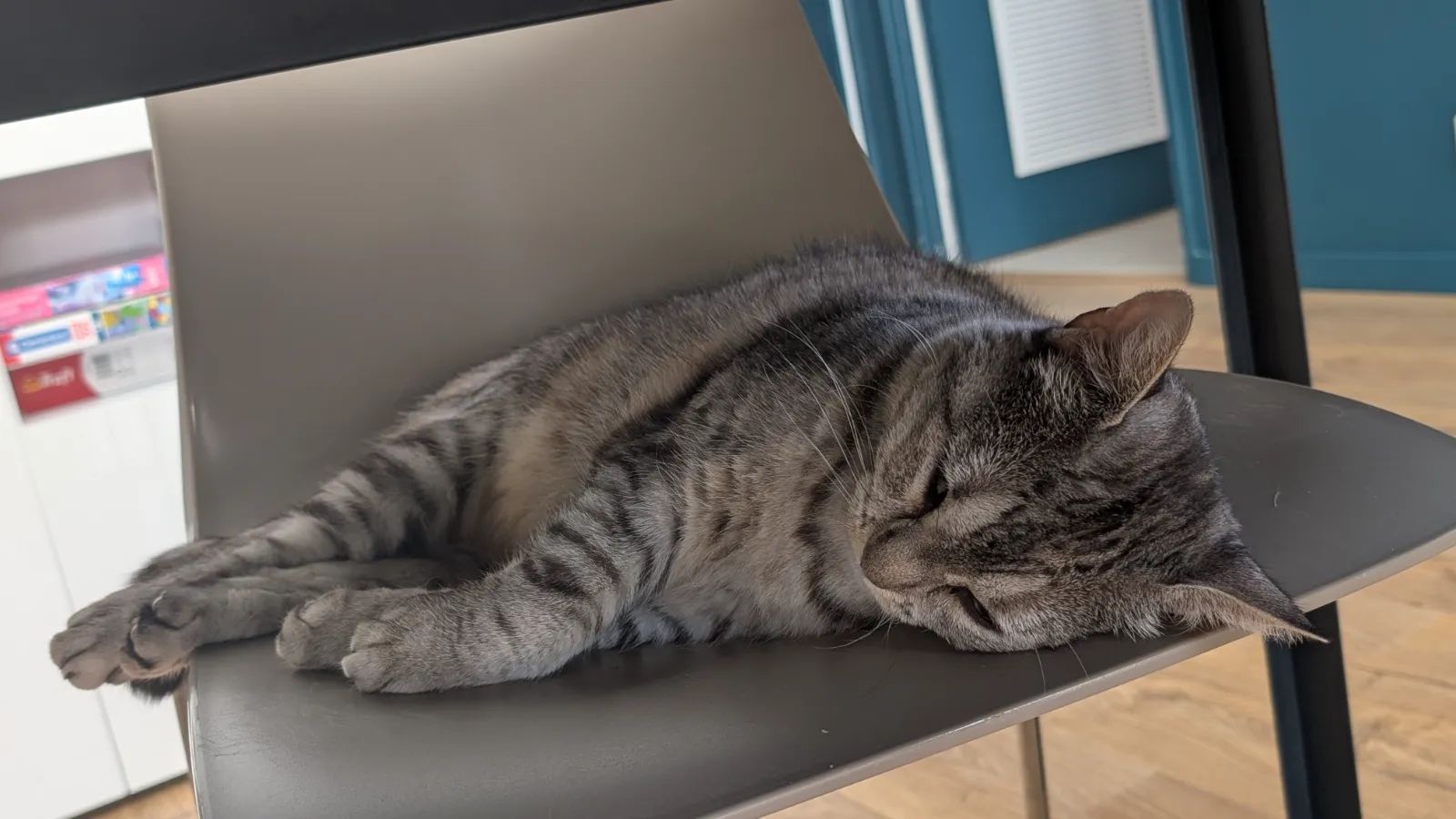 Suzi