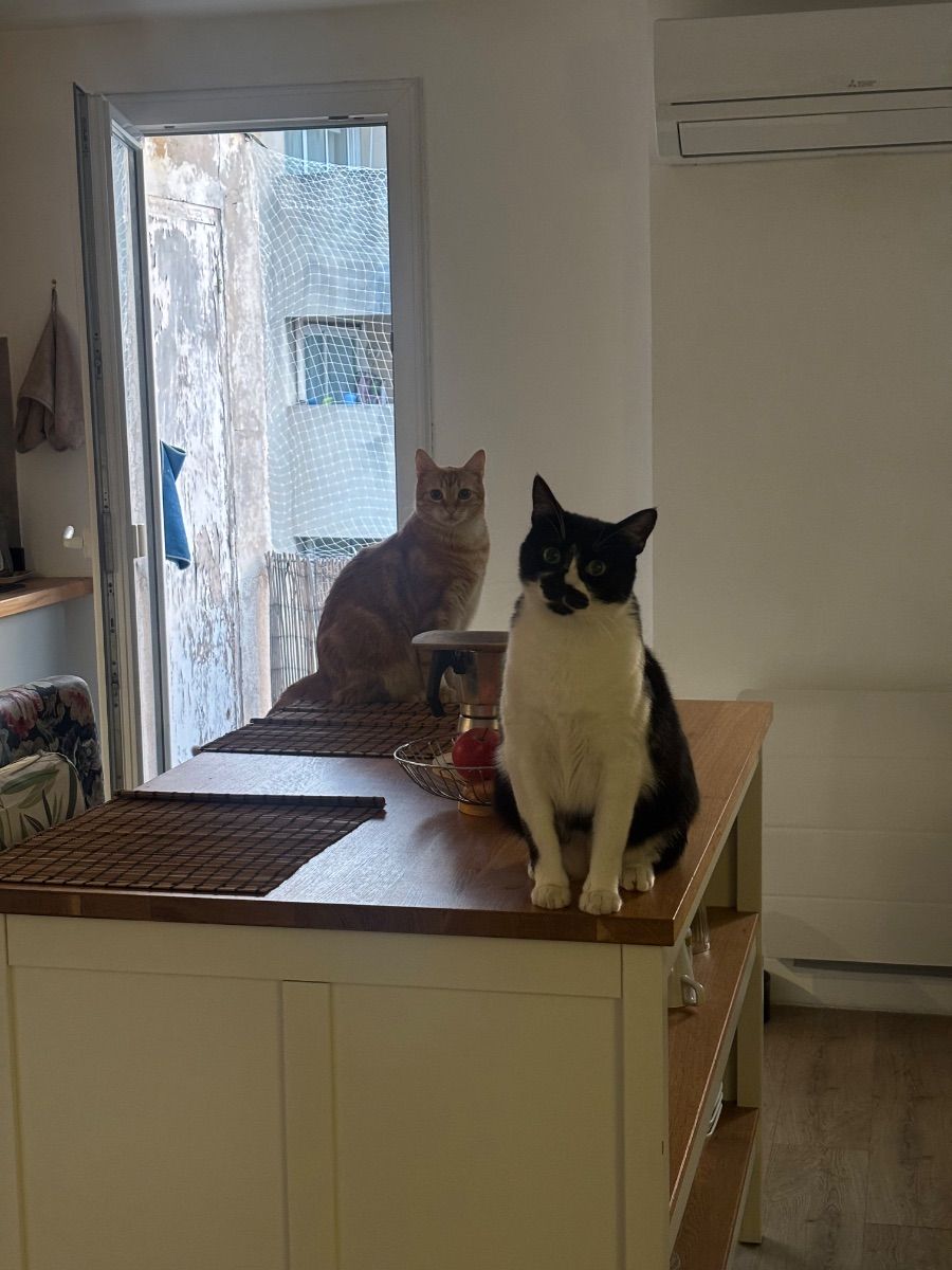 Photo du logement