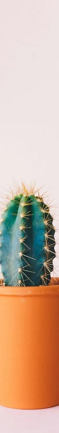 Qui peut arroser mes plantes pendant les vacances à Grenoble ?