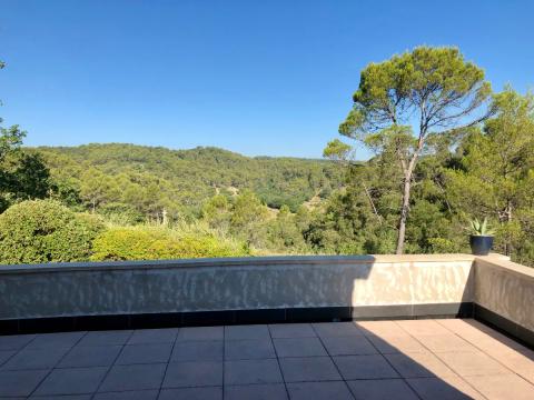 Jolie maison avec jardins (Provence verte ) garde d'animaux